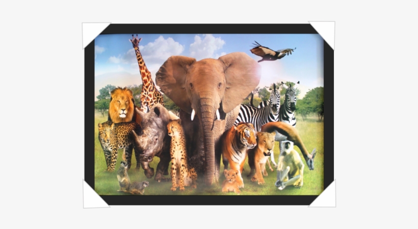 Detail Wild Animals Png Nomer 41