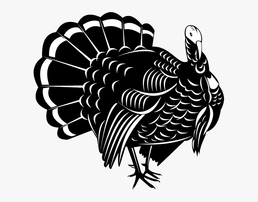 Detail Wild Turkey Png Nomer 46