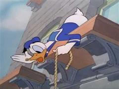 Detail Window Cleaners Donald Duck Nomer 12