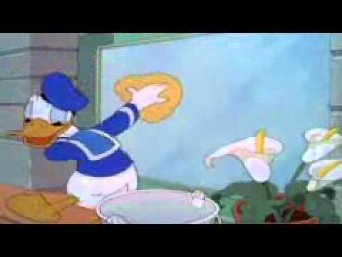 Detail Window Cleaners Donald Duck Nomer 6