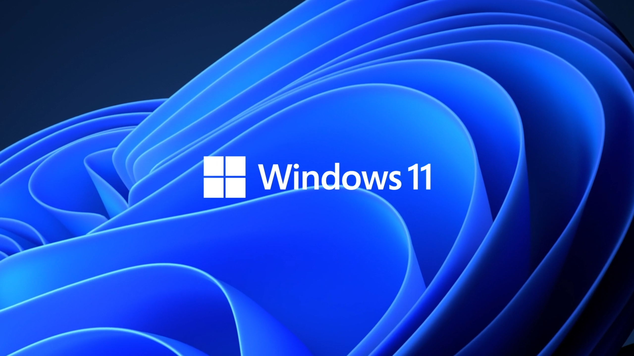 Detail Windows 11 Wallpaper Nomer 29