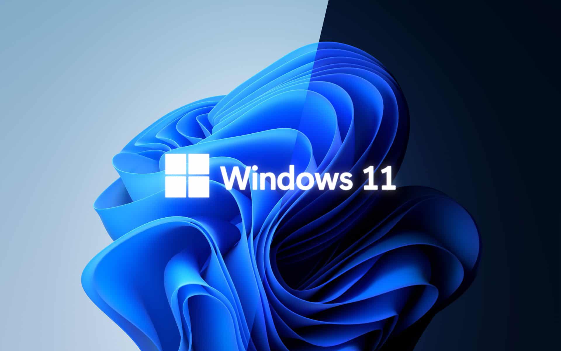 Detail Windows 11 Wallpaper Nomer 47