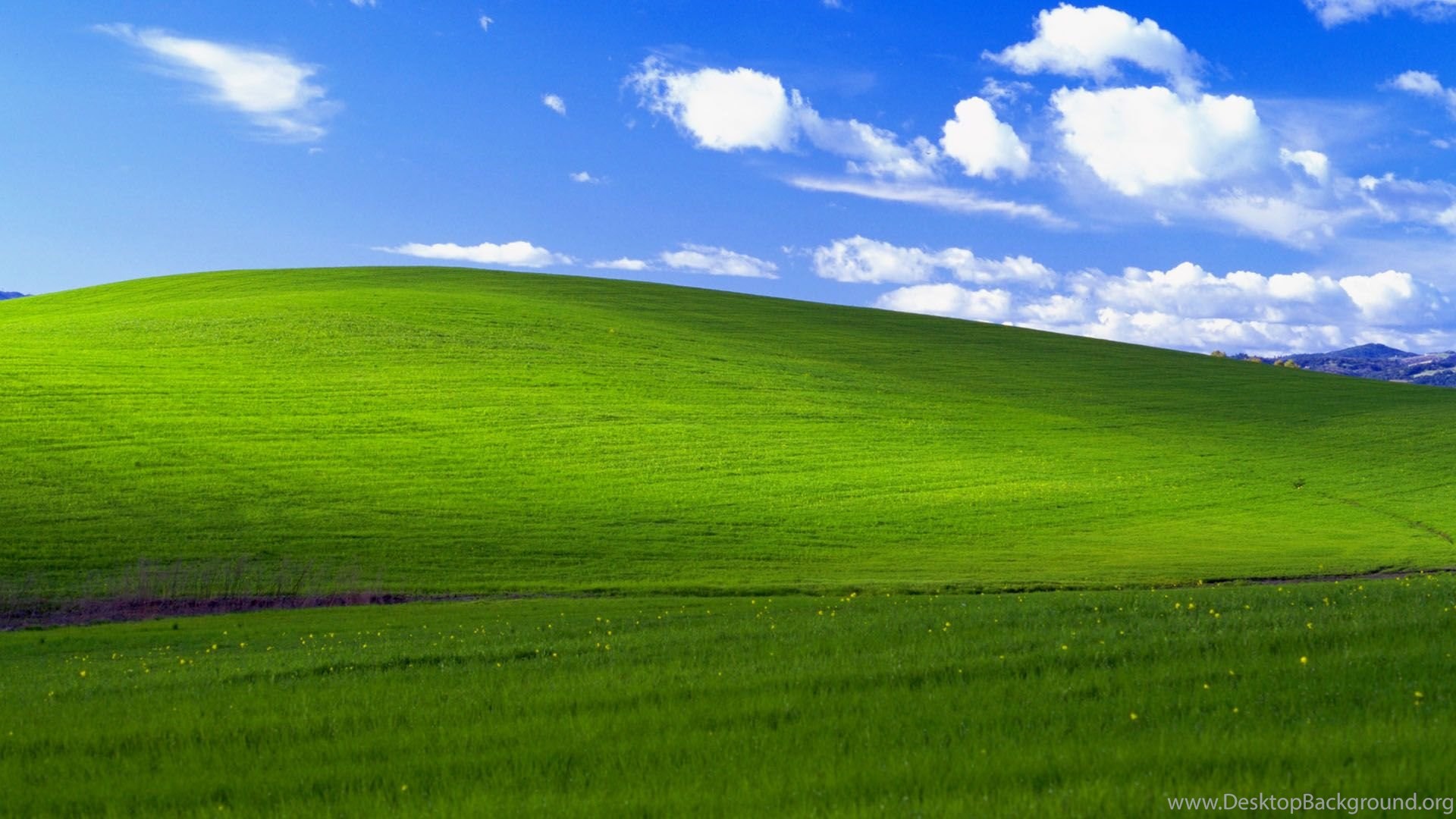 Detail Windows 7 Wallpaper Nomer 13