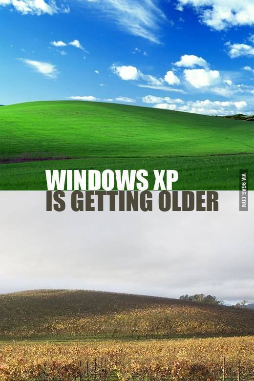 Detail Windows Xp Meme Nomer 18