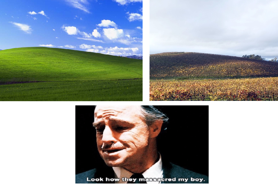 Detail Windows Xp Meme Nomer 48