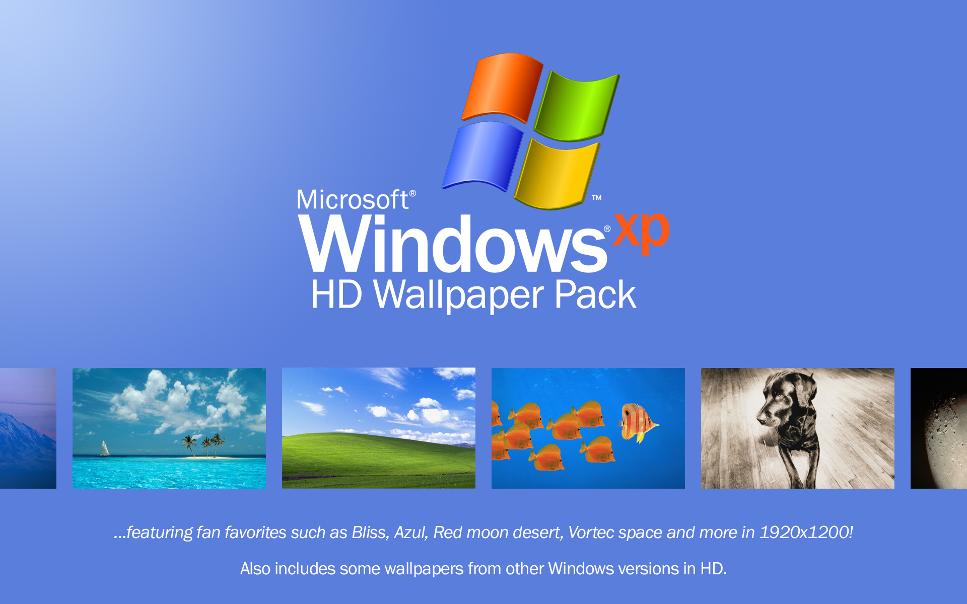 Detail Windows Xp Wallpaper Hd Nomer 7