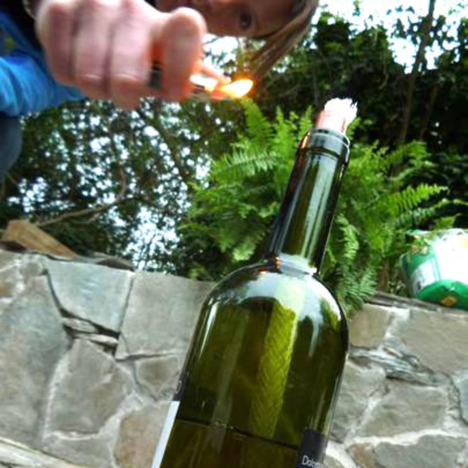 Detail Wine Bottle Bug Torch Nomer 14