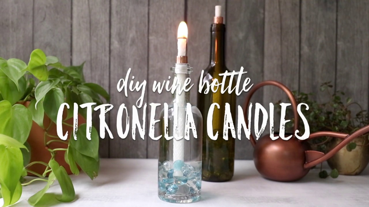 Detail Wine Bottle Bug Torch Nomer 39