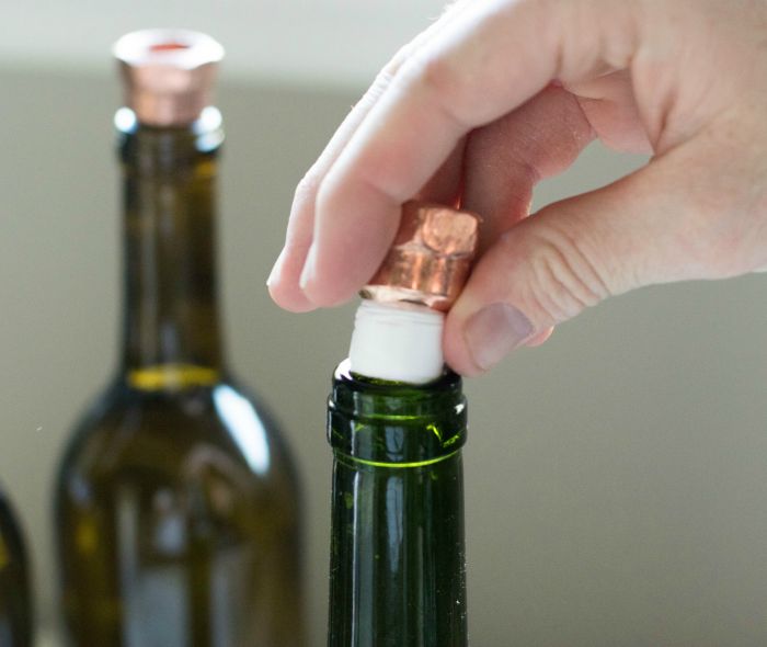 Detail Wine Bottle Bug Torch Nomer 55