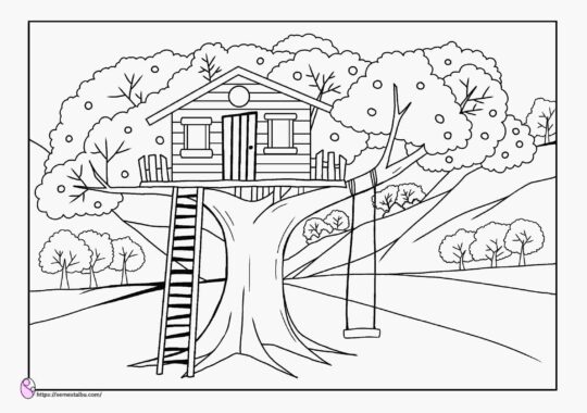 Detail Sketsa Rumah Pohon Nomer 7