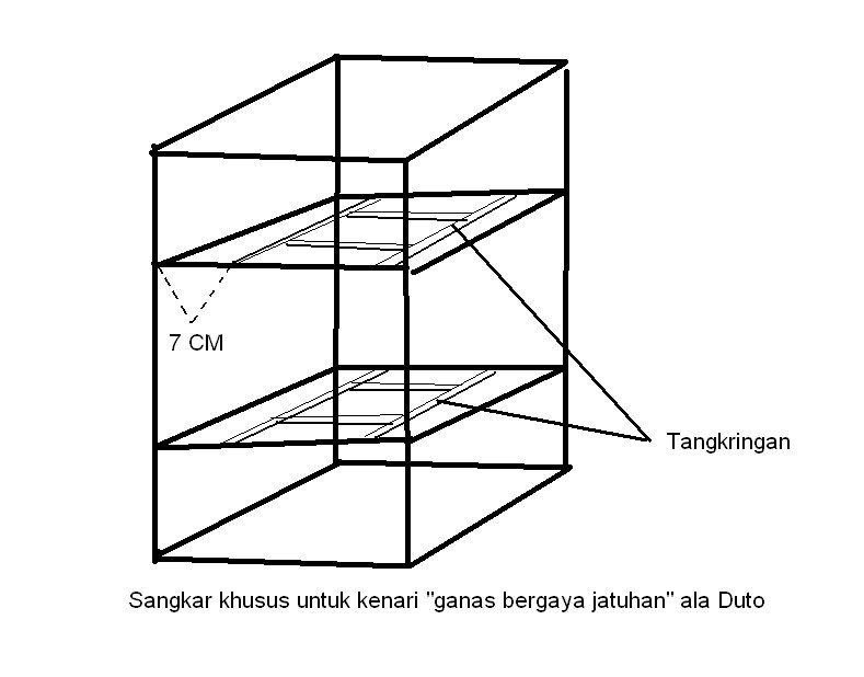 Detail Sketsa Sangkar Burung Nomer 44