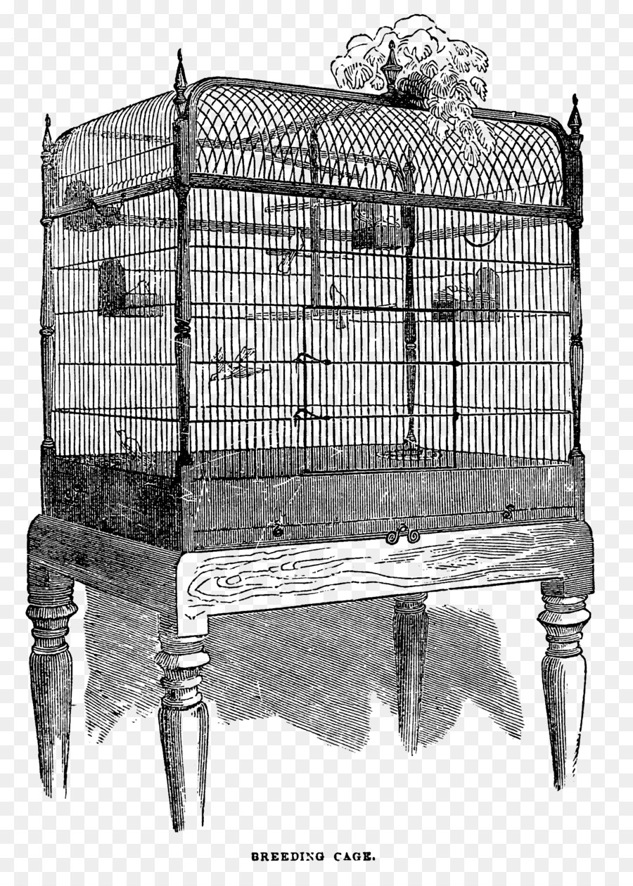 Detail Sketsa Sangkar Burung Nomer 7