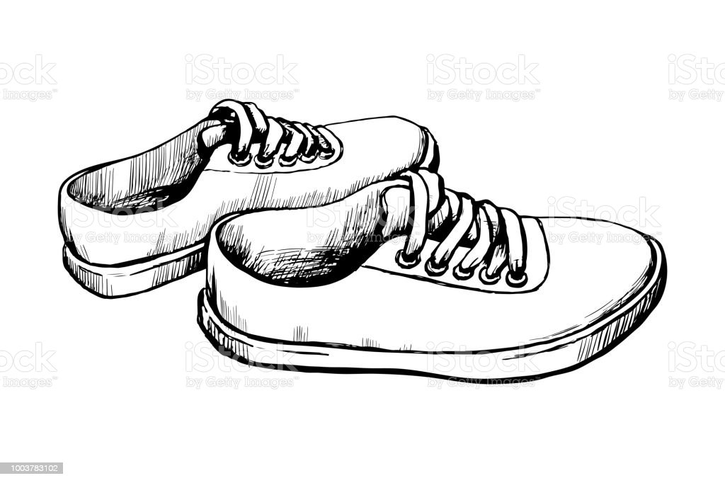 Detail Sketsa Sepatu Sneakers Nomer 41