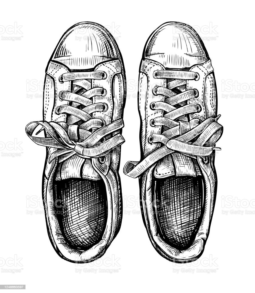 Detail Sketsa Sepatu Sneakers Nomer 6