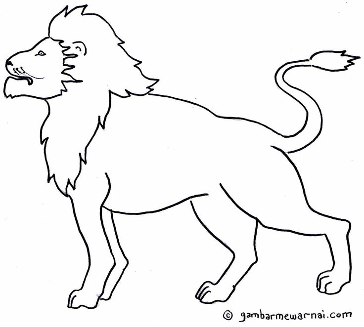 Sketsa Singa - KibrisPDR