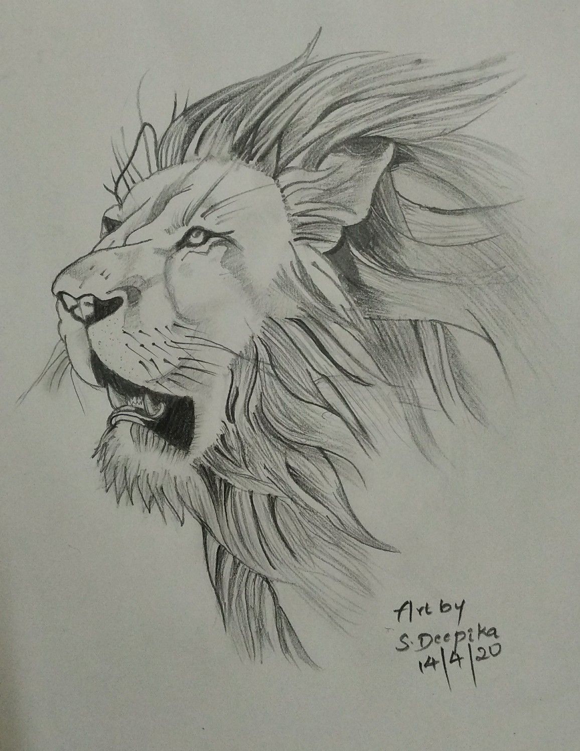 Detail Sketsa Singa Nomer 17