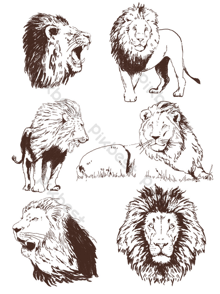 Detail Sketsa Singa Nomer 23