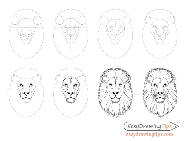 Detail Sketsa Singa Nomer 24