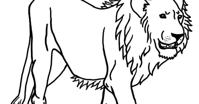 Detail Sketsa Singa Nomer 27
