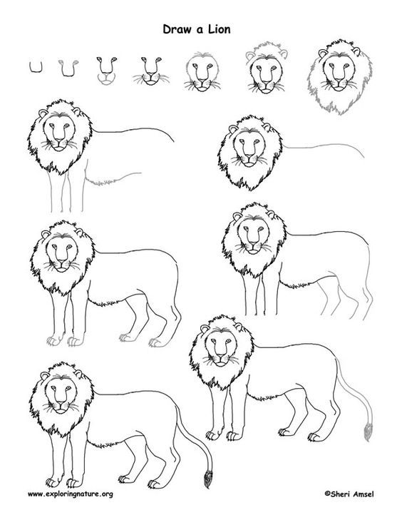 Detail Sketsa Singa Nomer 29