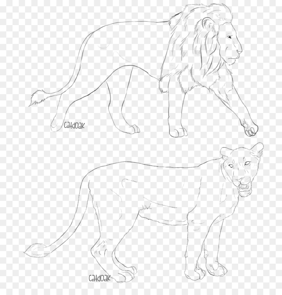 Detail Sketsa Singa Nomer 48