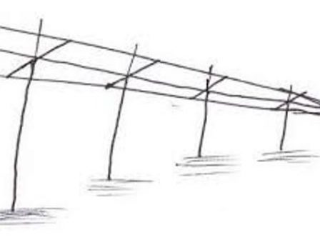 Detail Sketsa Tiang Listrik Nomer 11