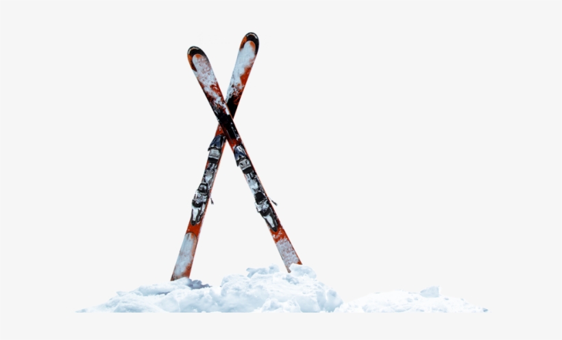 Detail Ski Transparent Nomer 26