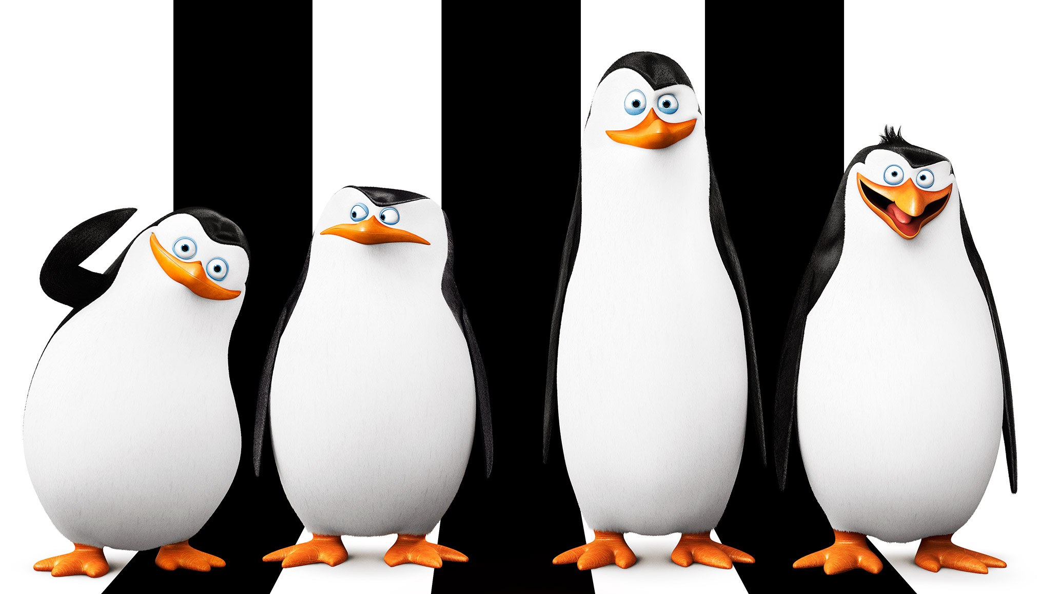 Download Skipper Penguin Of Madagascar Nomer 36