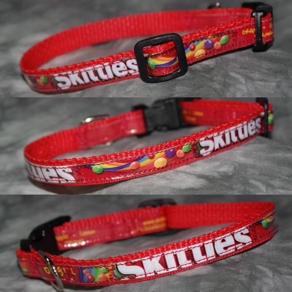 Detail Skittles Dog Collar Nomer 12