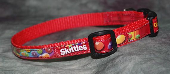 Detail Skittles Dog Collar Nomer 15