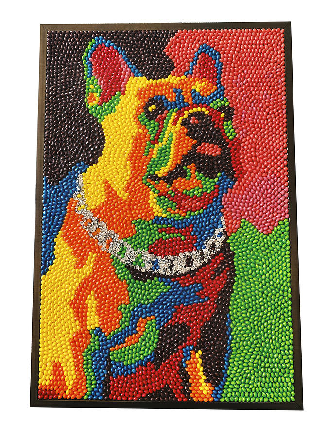 Detail Skittles Dog Collar Nomer 25