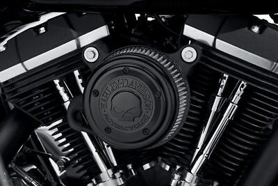 Detail Skull Air Cleaner Harley Nomer 38