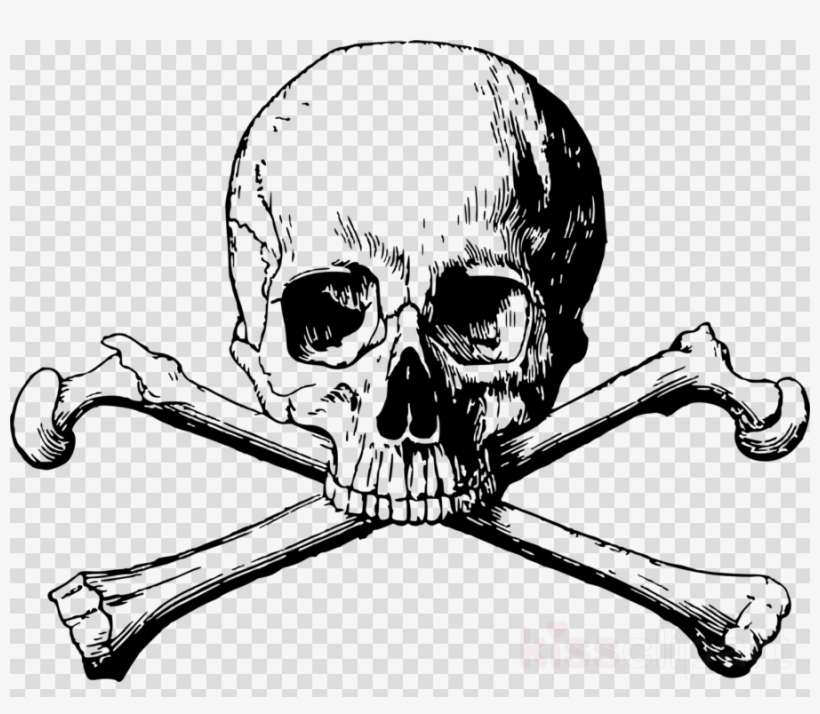 Detail Skull And Bones Png Nomer 4