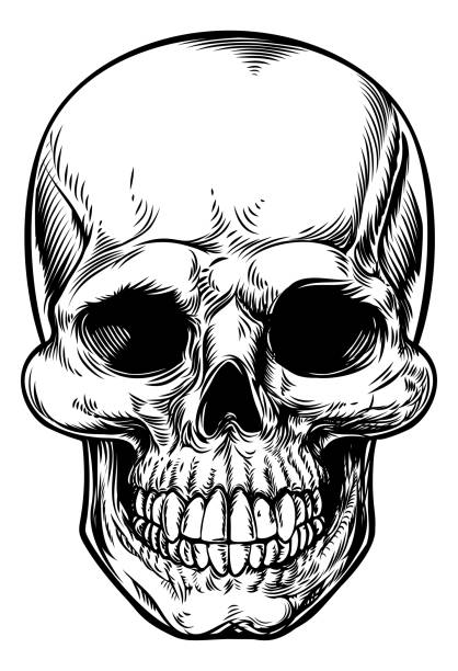 Detail Skull Black And White Nomer 13