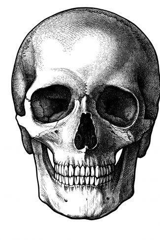 Detail Skull Black And White Nomer 22