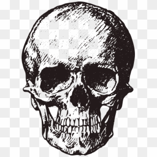 Detail Skull Black And White Nomer 51