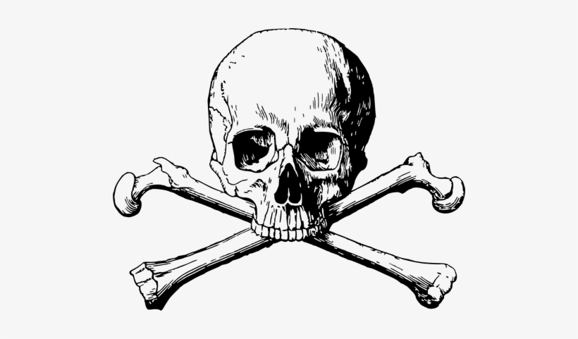 Detail Skull Bones Png Nomer 11
