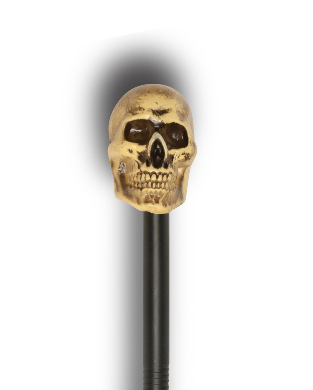 Detail Skull Cane Walking Stick Nomer 16