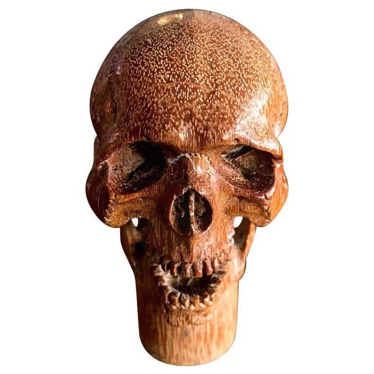 Detail Skull Cane Walking Stick Nomer 48