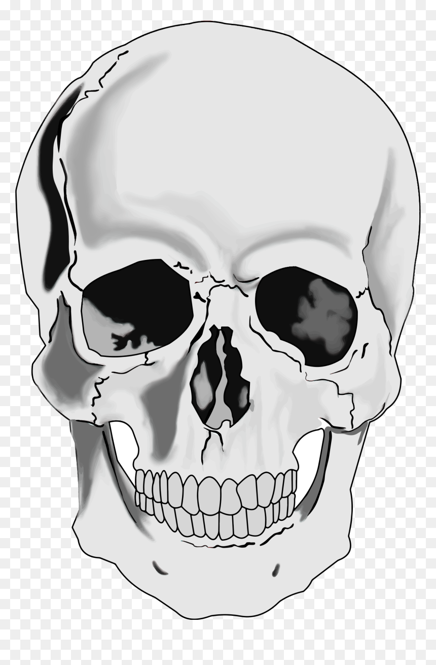 Detail Skull Clear Background Nomer 39