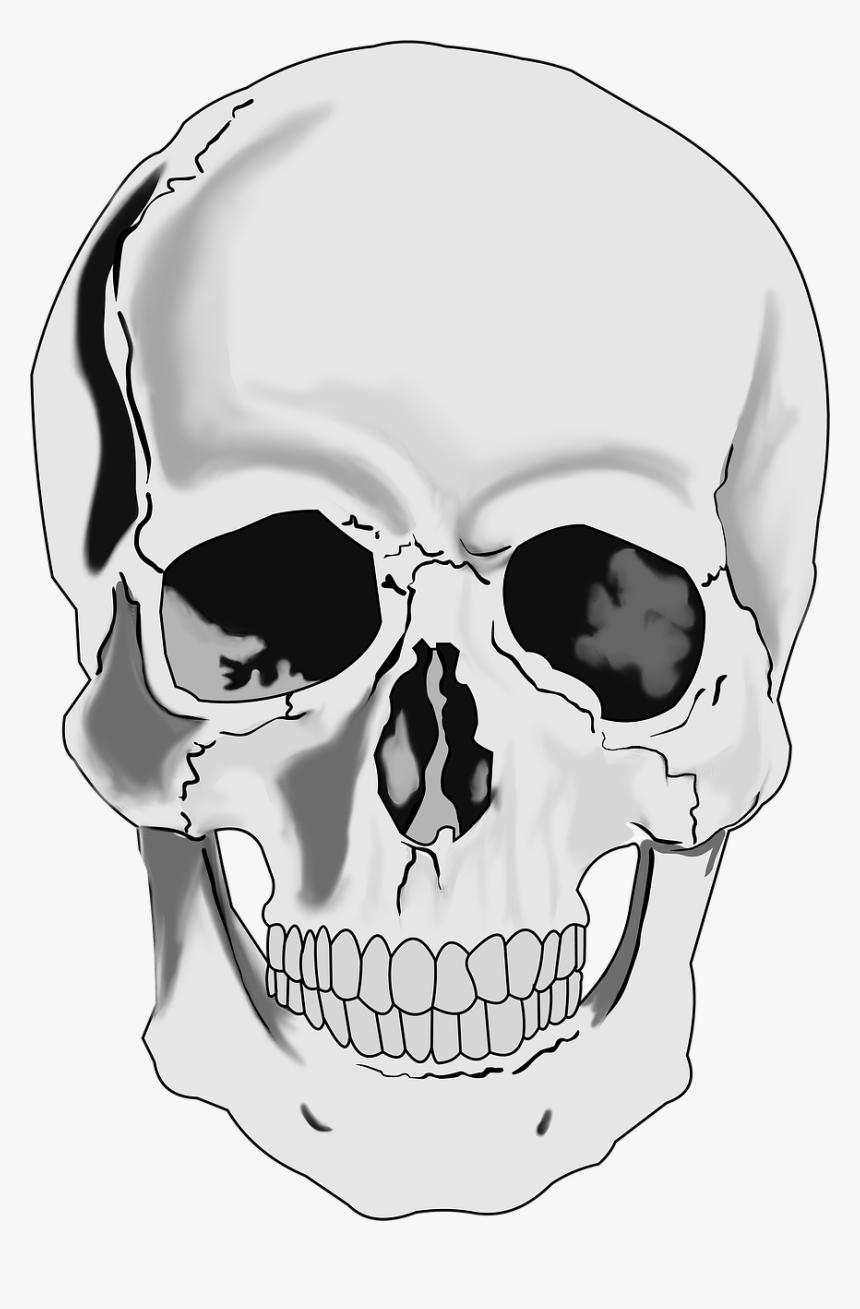 Detail Skull Clipart Png Nomer 25