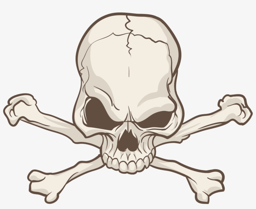 Detail Skull Clipart Transparent Background Nomer 26