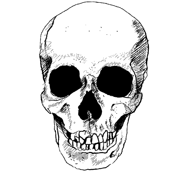 Detail Skull Download Free Nomer 3