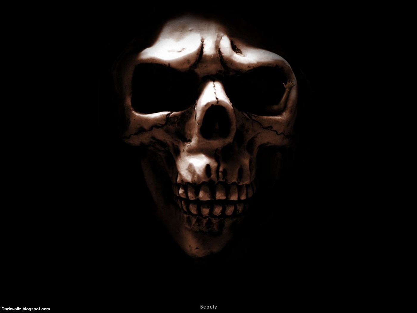 Detail Skull Download Free Nomer 33