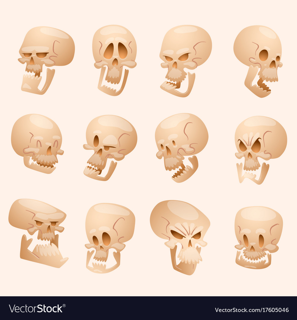 Detail Skull Face Pictures Nomer 37