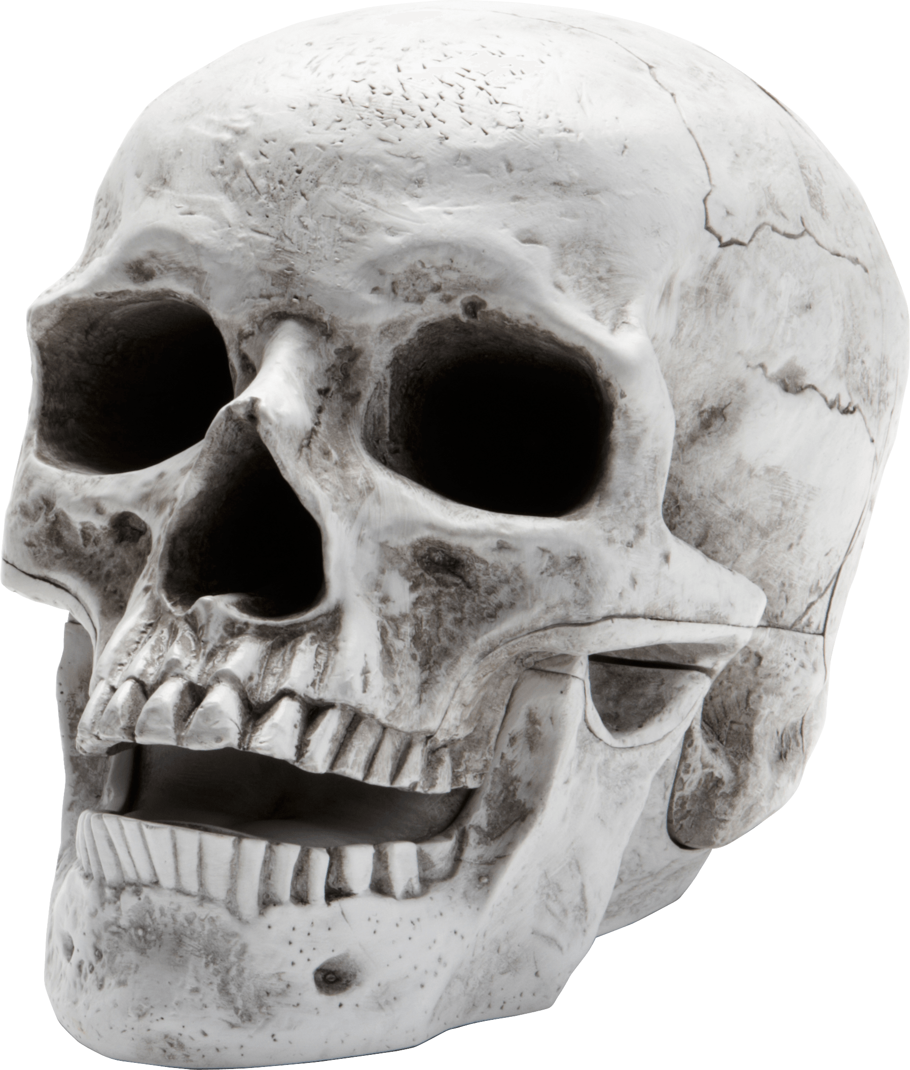 Detail Skull Face Png Nomer 38