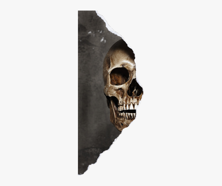 Detail Skull Face Png Nomer 39