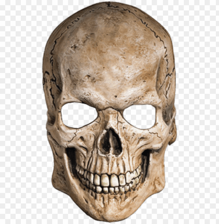 Detail Skull Face Png Nomer 7