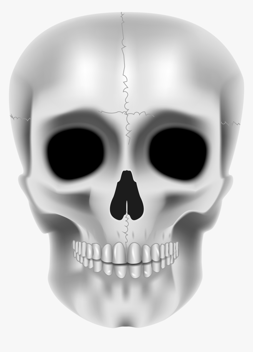 Detail Skull Face Transparent Nomer 2