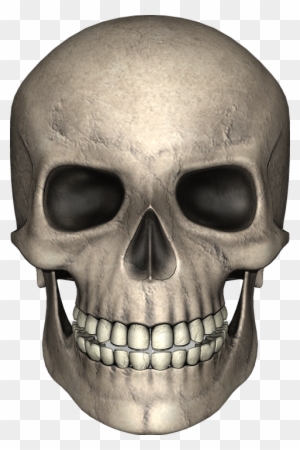 Detail Skull Face Transparent Nomer 11